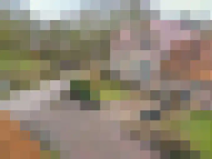 Dorpsweg 50 Twisk thumbnail 45