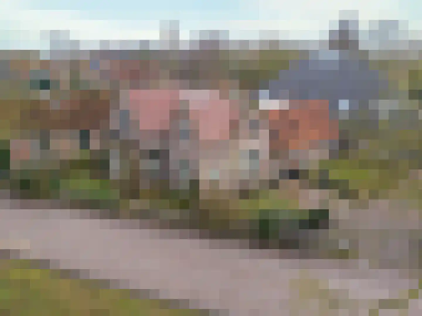 Dorpsweg 50 Twisk thumbnail 47