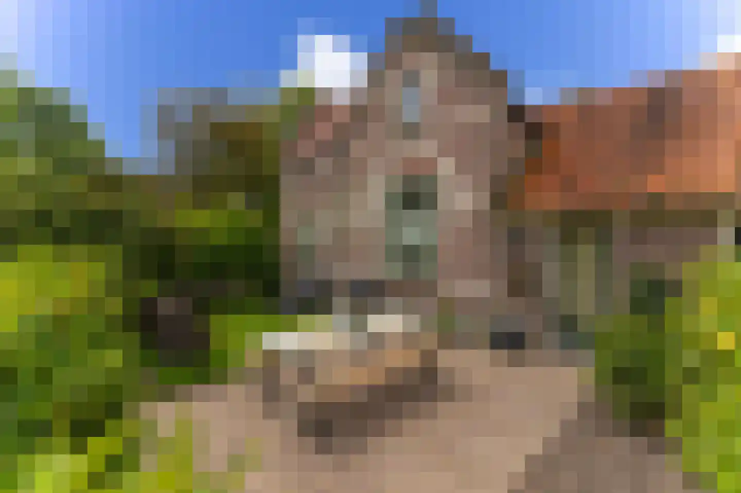 Dorpsweg 50 Twisk thumbnail 48