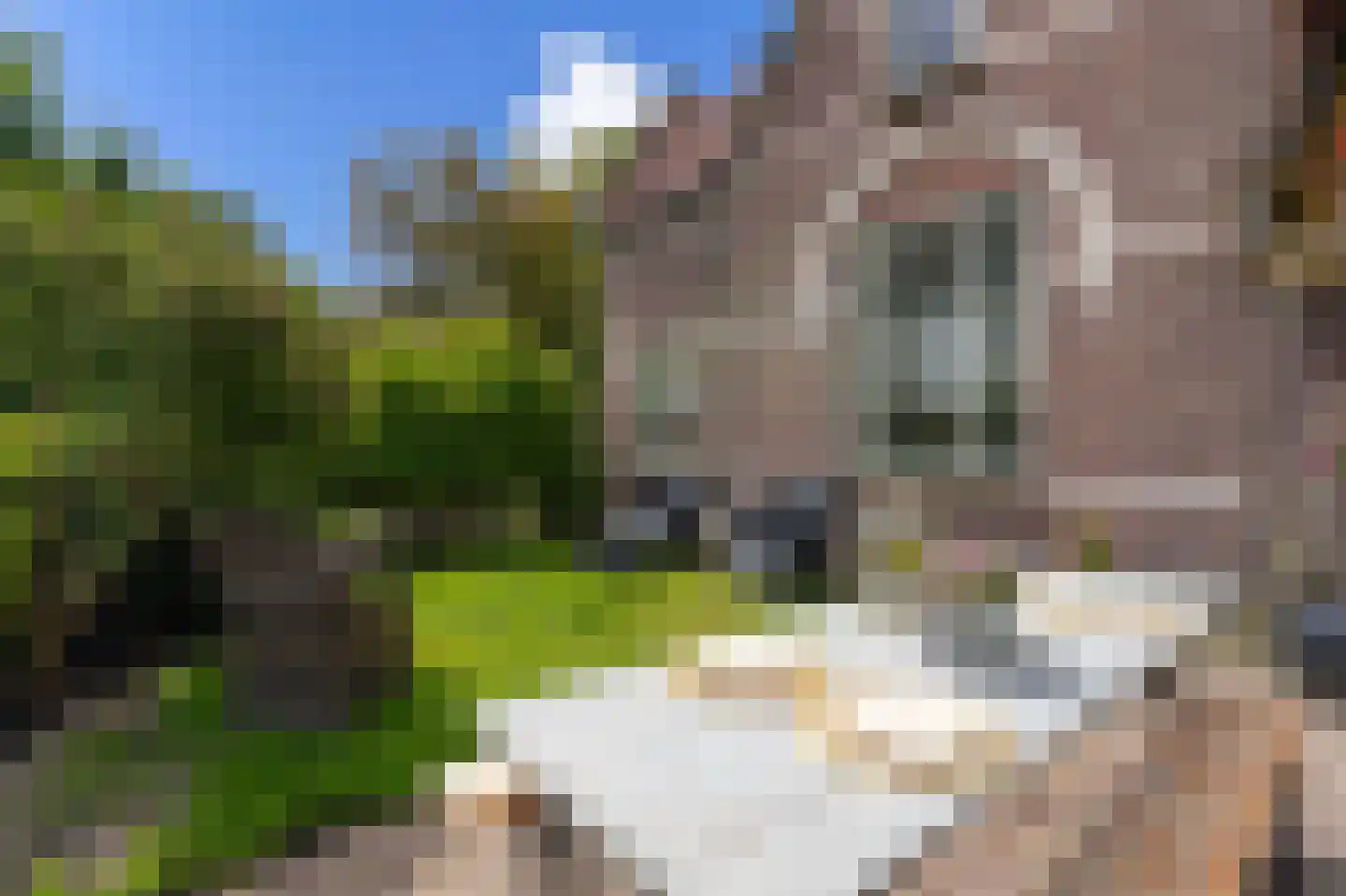 Dorpsweg 50 Twisk thumbnail 5