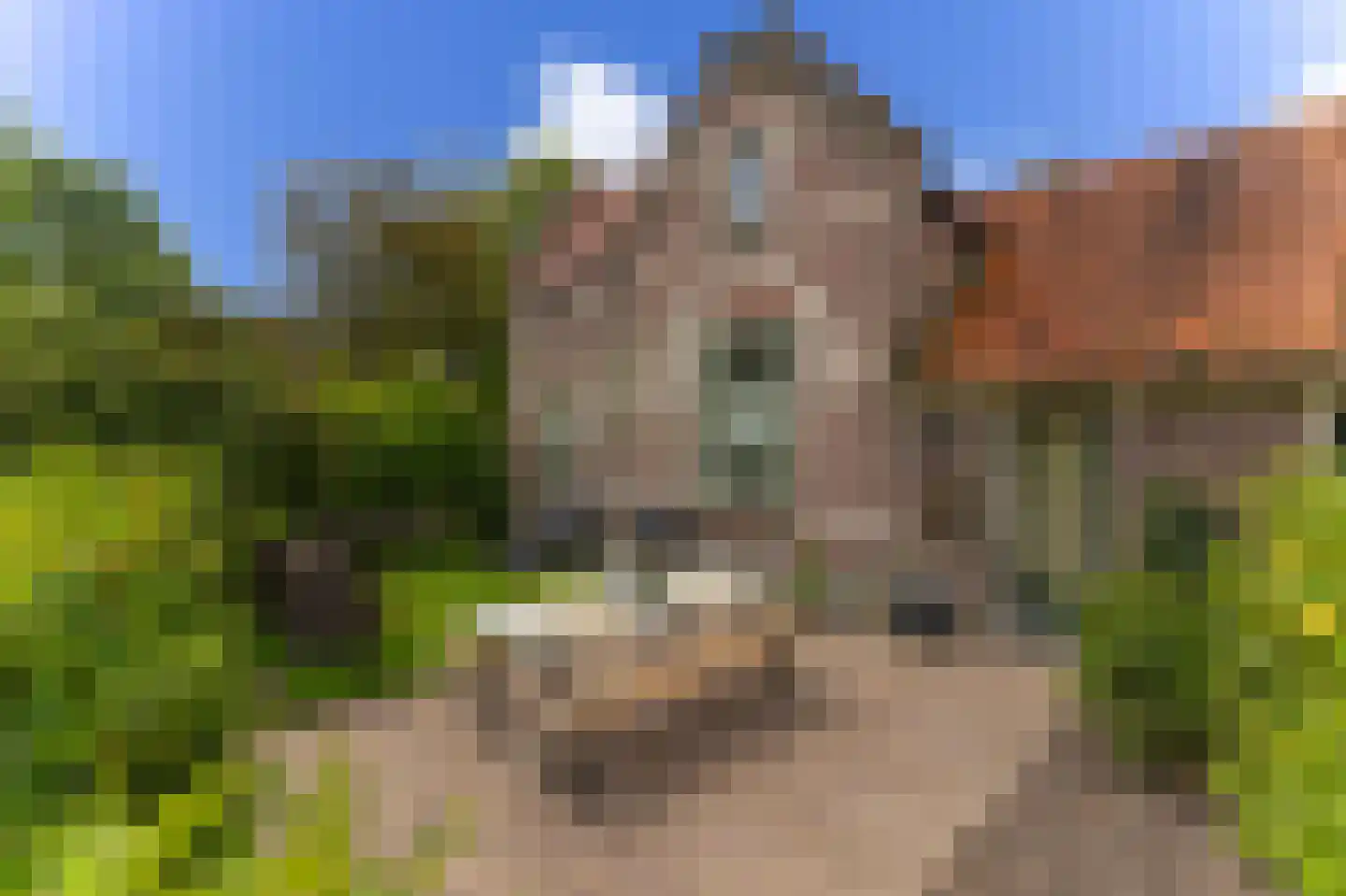 Dorpsweg 50 Twisk thumbnail 50