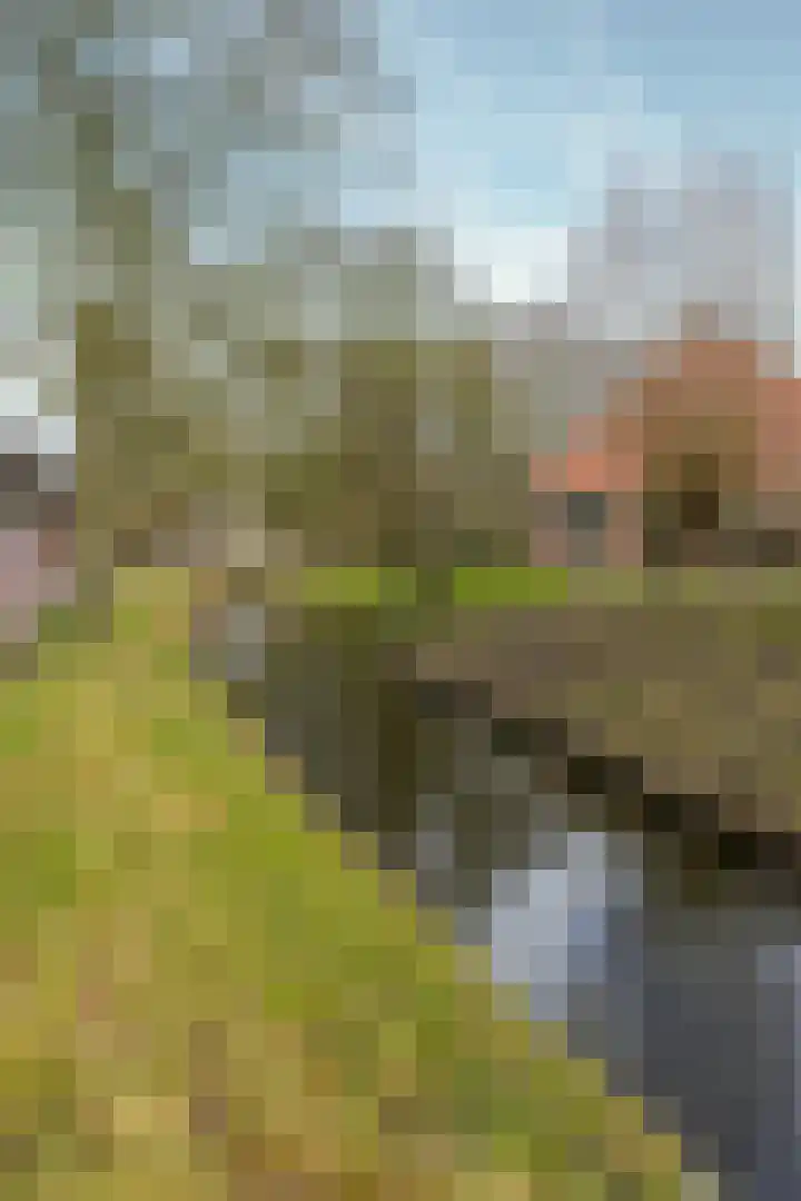 Dorpsweg 50 Twisk thumbnail 54