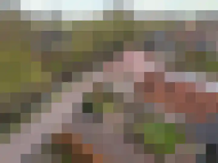 Dorpsweg 50 Twisk thumbnail 61