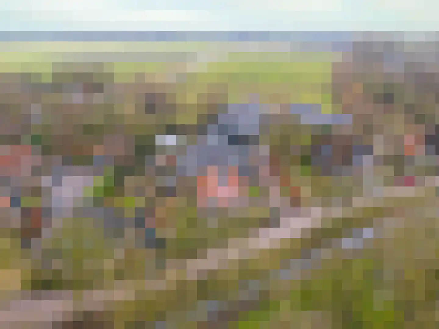 Dorpsweg 50 Twisk thumbnail 64