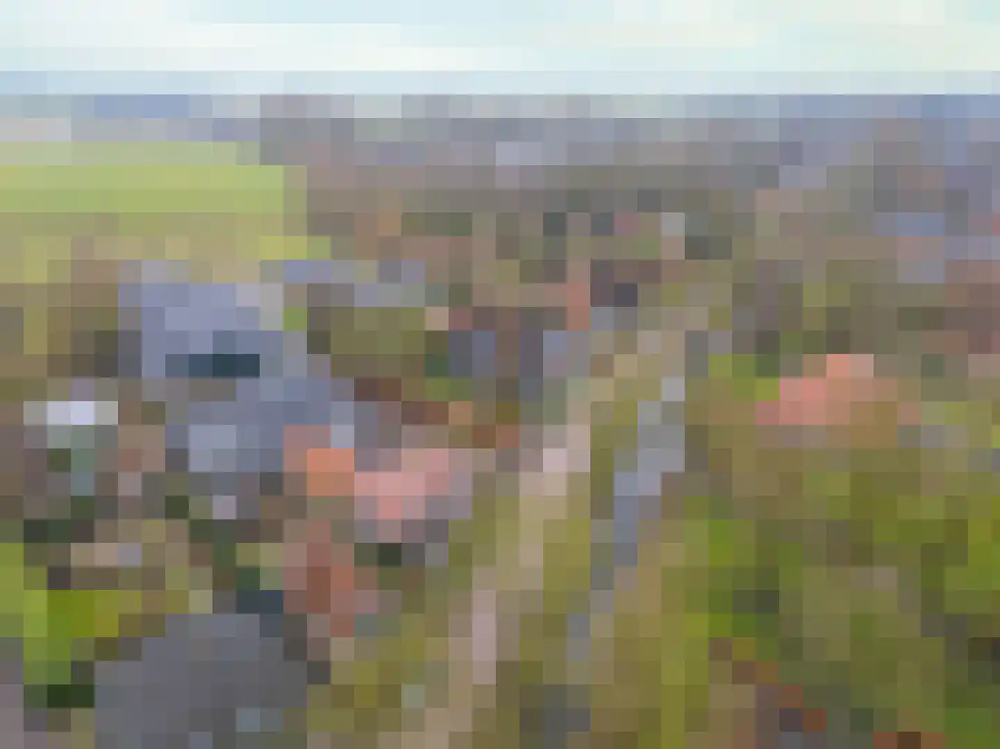 Dorpsweg 50 Twisk thumbnail 65