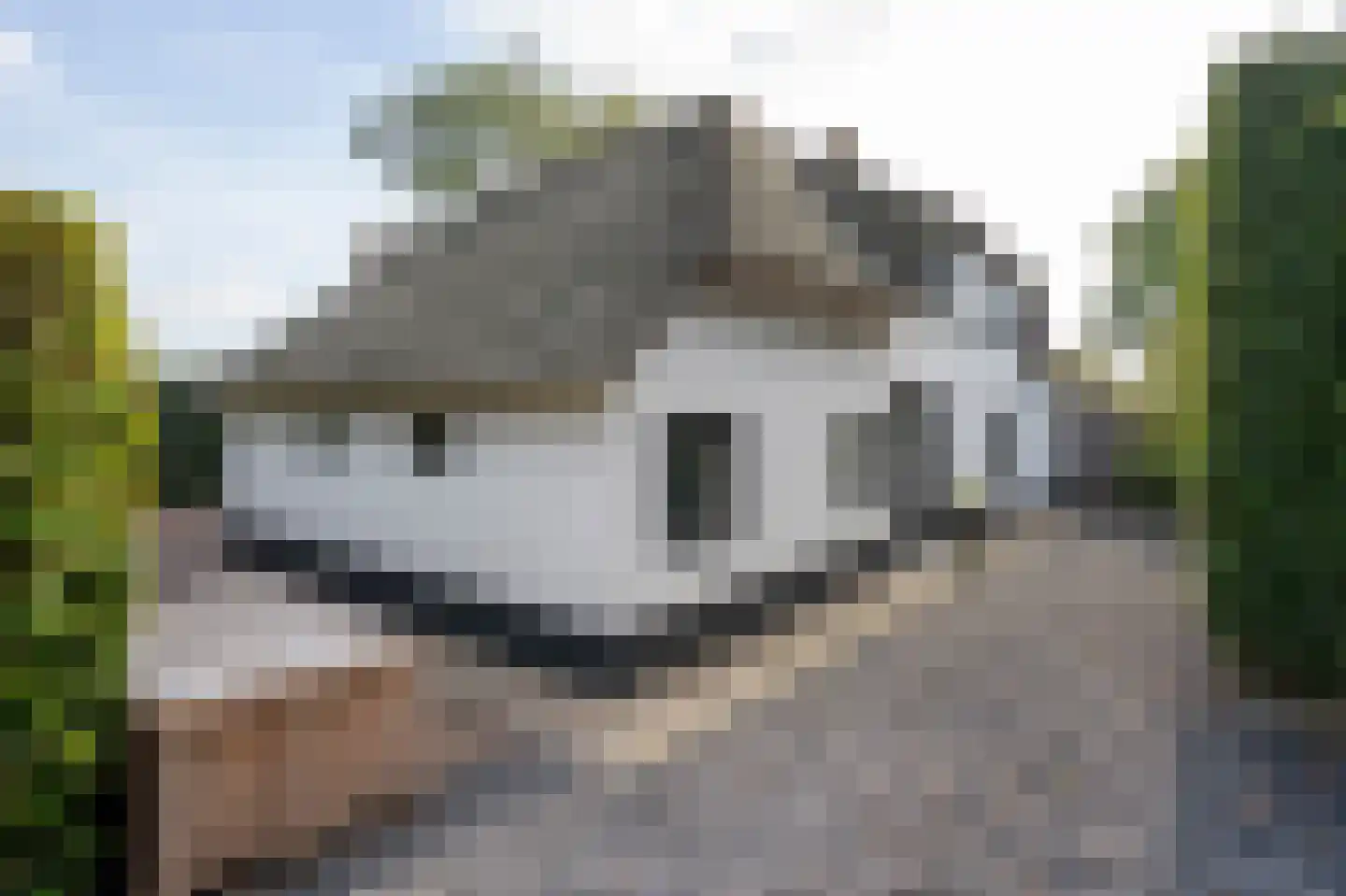 Dorpsweg 51 Hoogblokland thumbnail 10