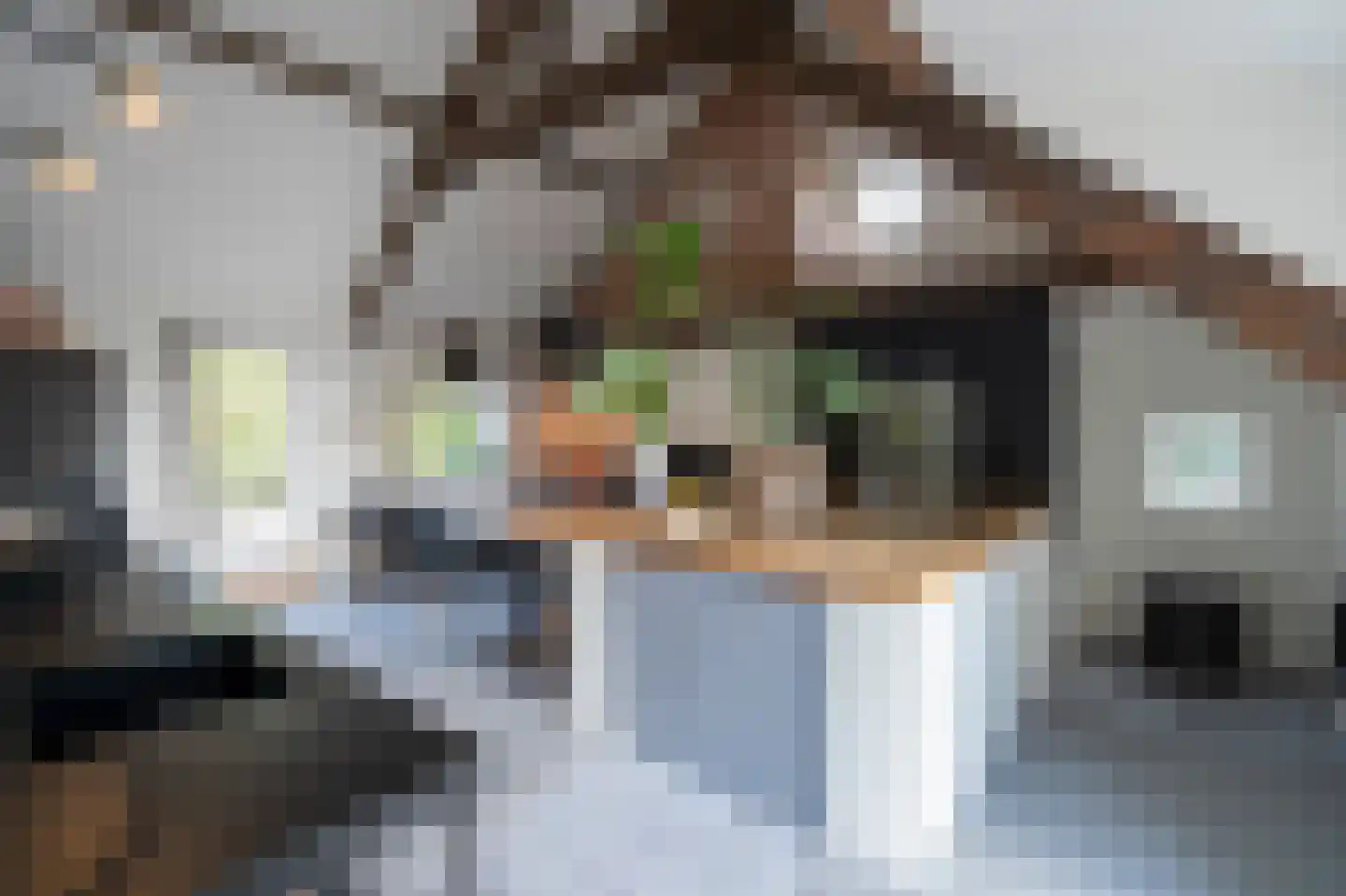 Dorpsweg 51 Hoogblokland thumbnail 11