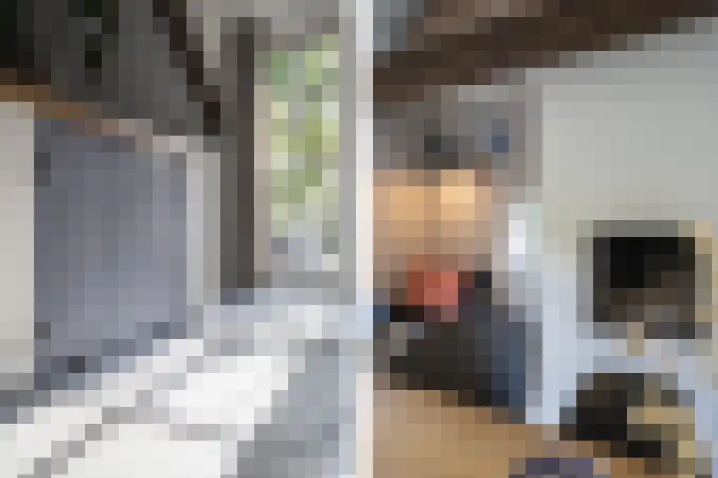 Dorpsweg 51 Hoogblokland thumbnail 12