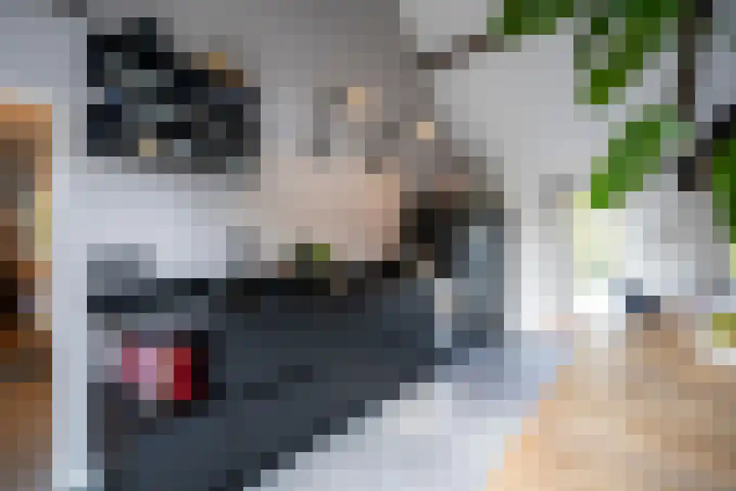 Dorpsweg 51 Hoogblokland thumbnail 14