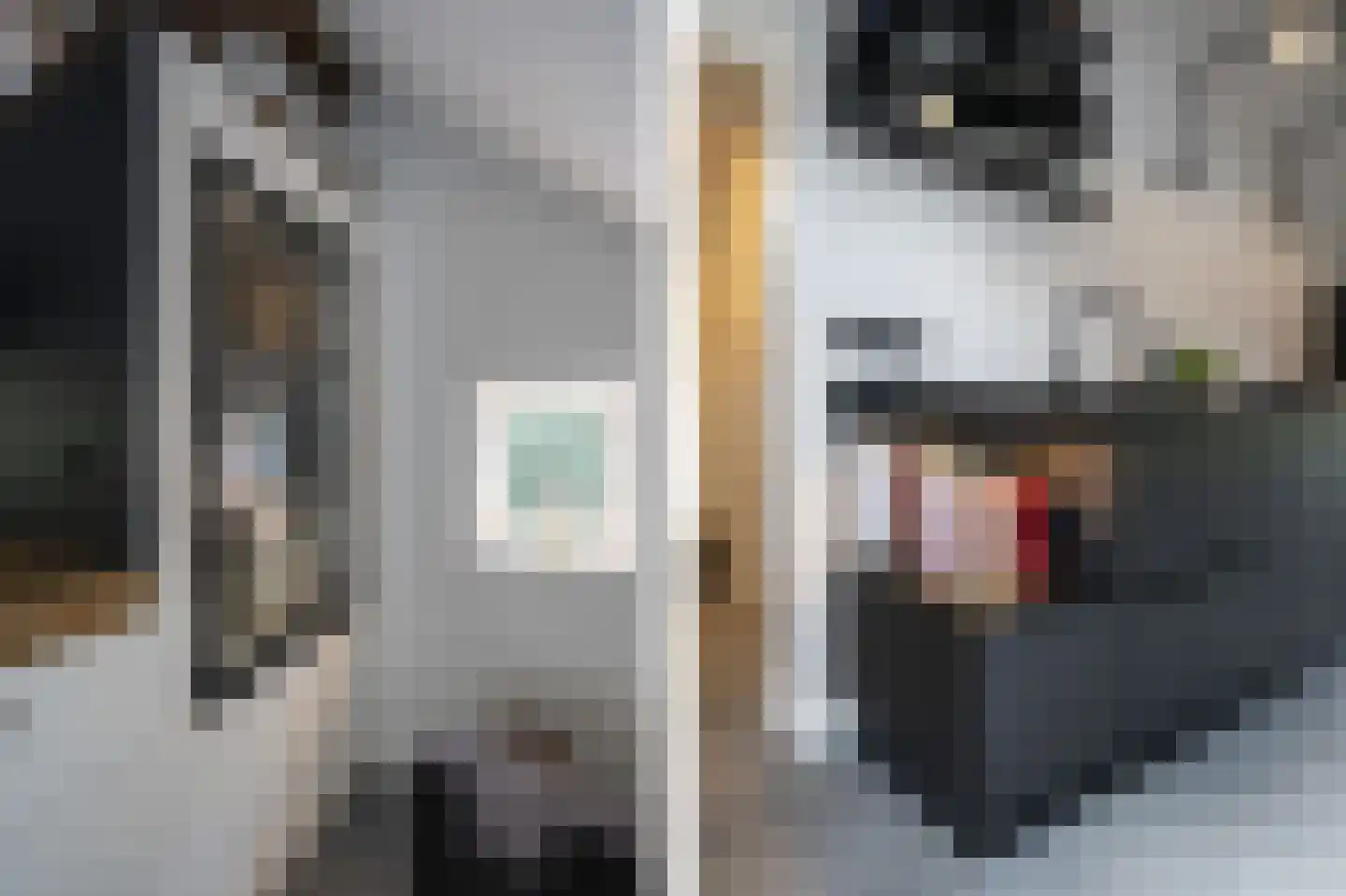 Dorpsweg 51 Hoogblokland thumbnail 15