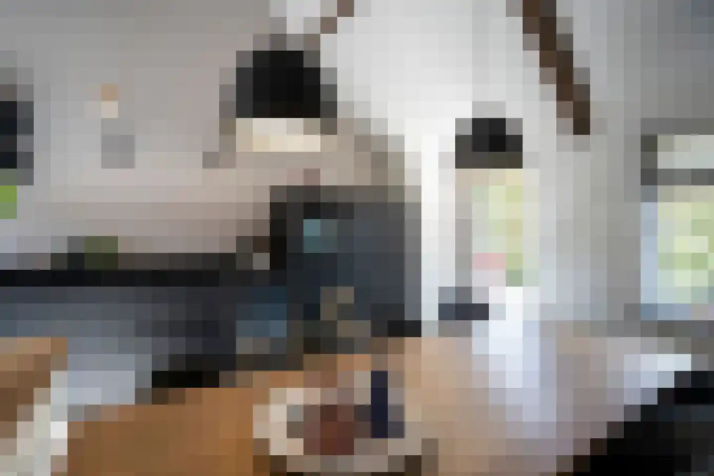 Dorpsweg 51 Hoogblokland thumbnail 16