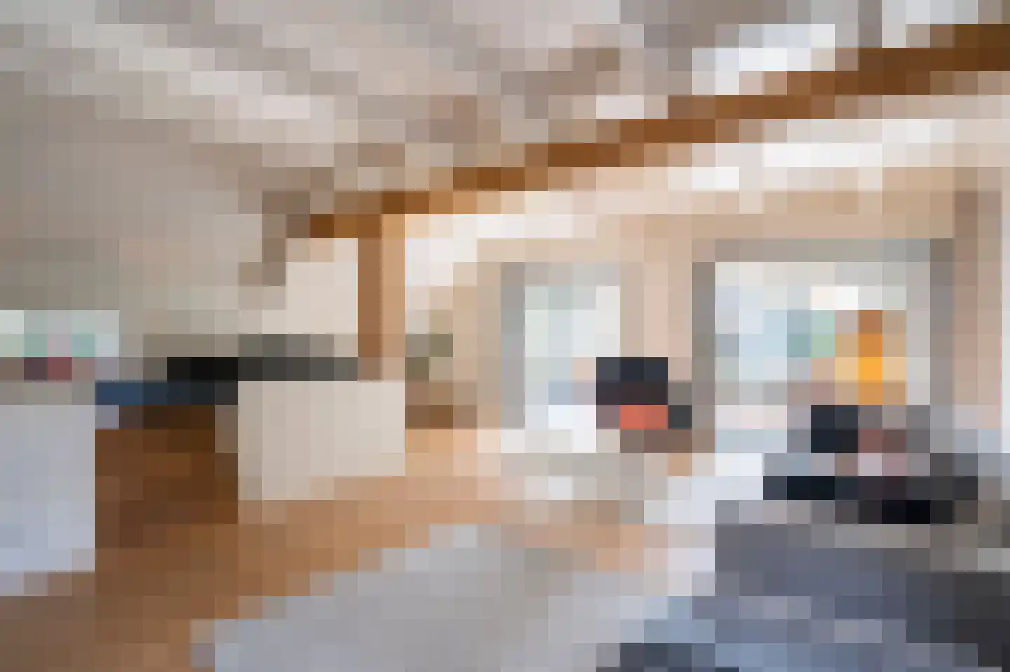 Dorpsweg 51 Hoogblokland thumbnail 19
