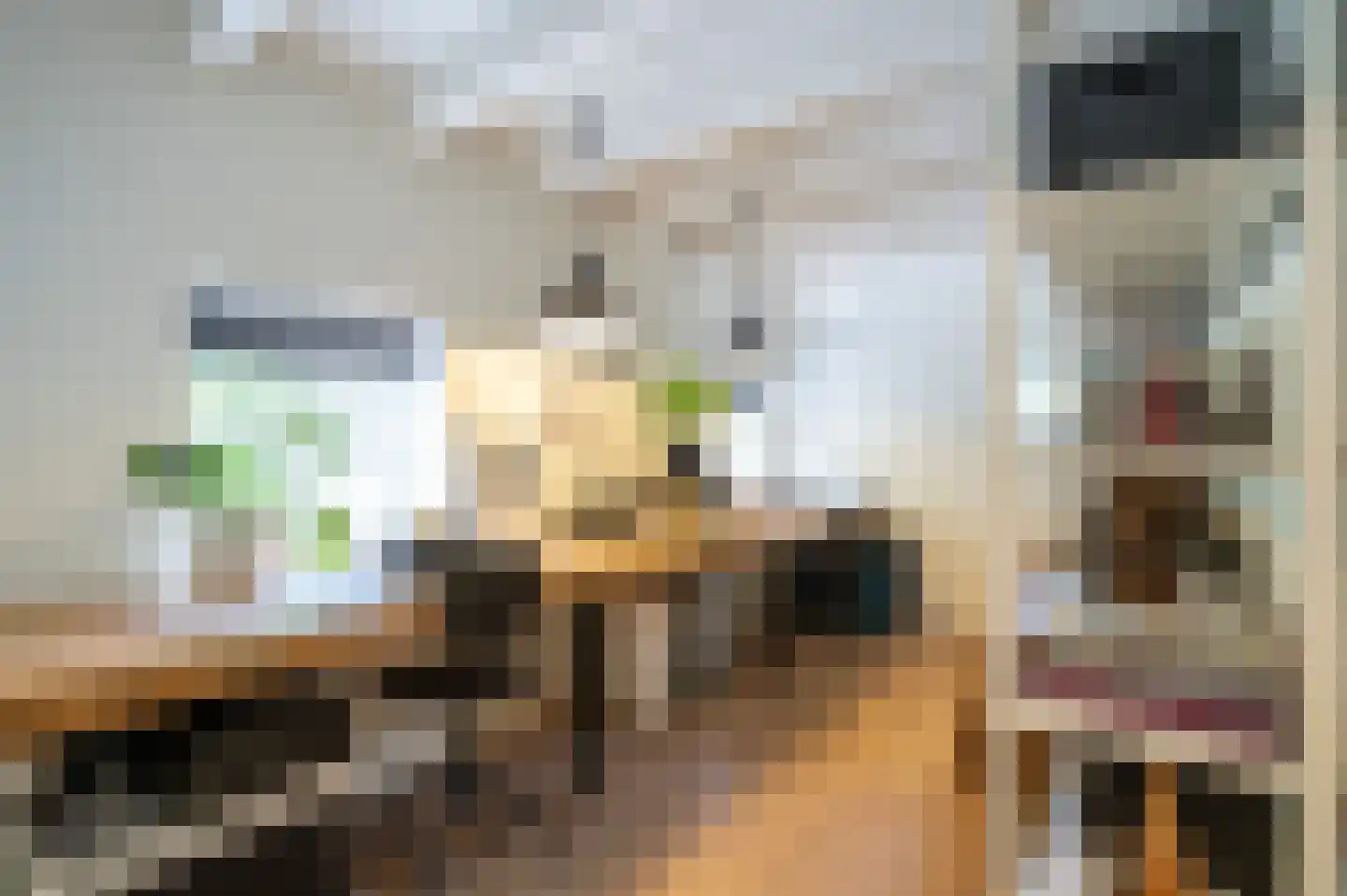 Dorpsweg 51 Hoogblokland thumbnail 32