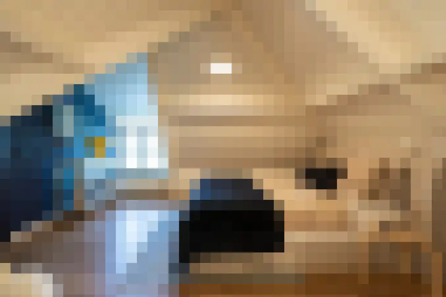 Dorpsweg 51 Hoogblokland thumbnail 35