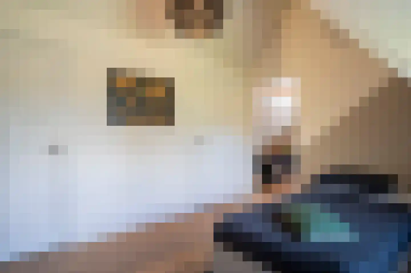 Dorpsweg 51 Hoogblokland thumbnail 41