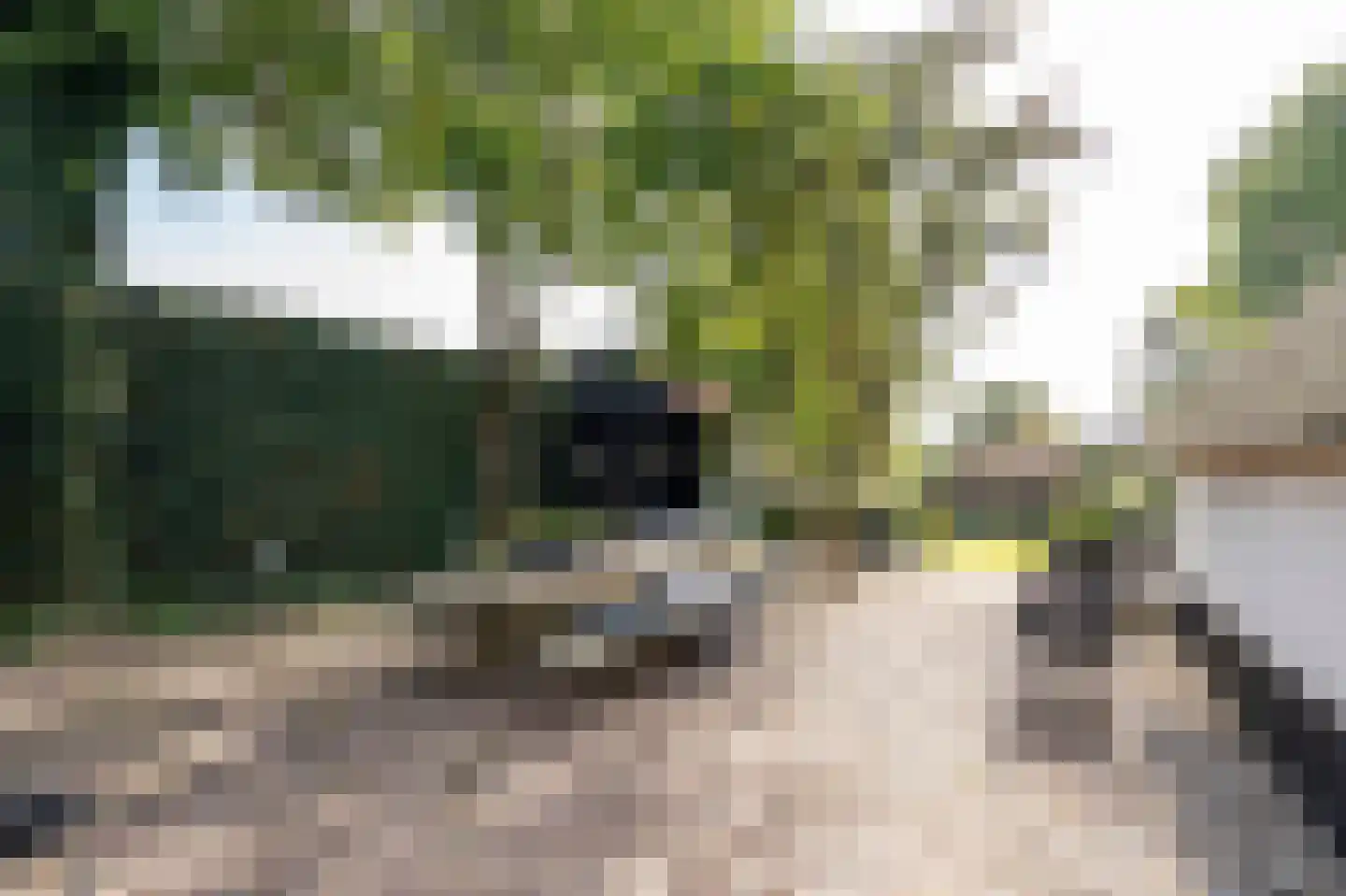 Dorpsweg 51 Hoogblokland thumbnail 48