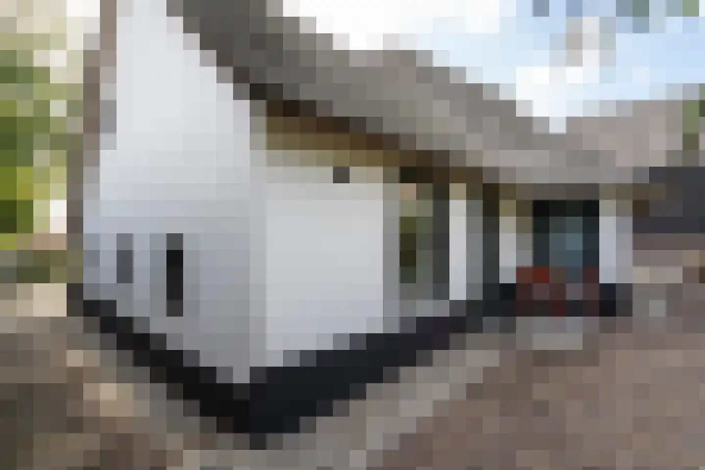 Dorpsweg 51 Hoogblokland thumbnail 52