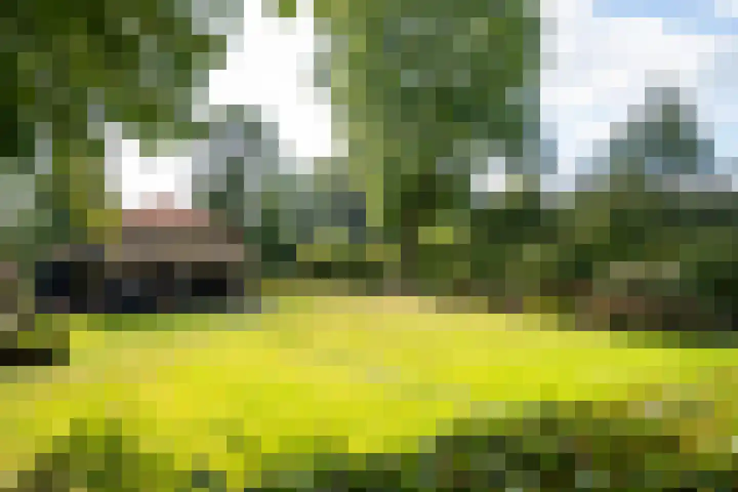 Dorpsweg 51 Hoogblokland thumbnail 56