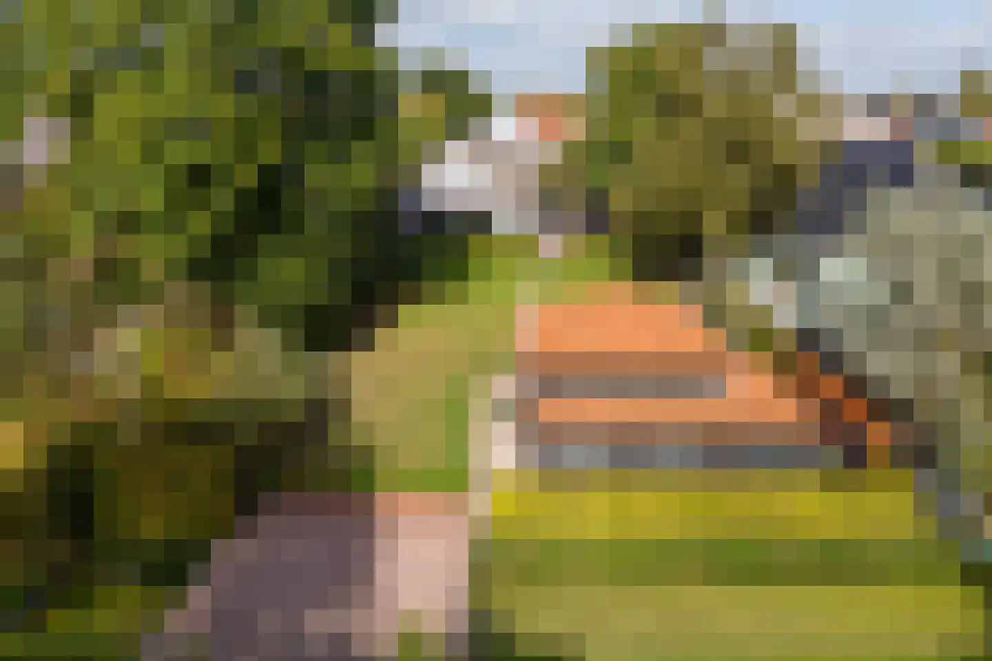 Dorpsweg 51 Hoogblokland thumbnail 9
