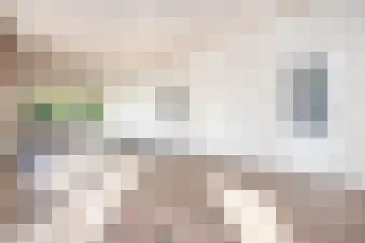 Dorpsweg 53 Ouddorp thumbnail 11