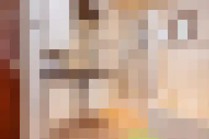 Dorpsweg 53 Ouddorp thumbnail 20