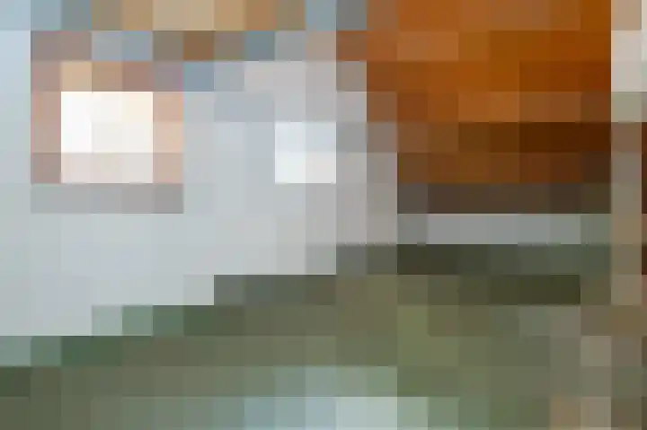 Dorpsweg 53 Ouddorp thumbnail 30
