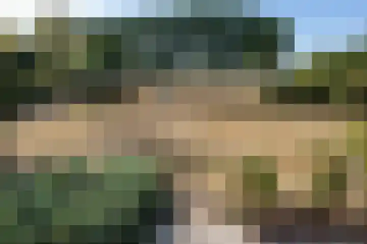 Dorpsweg 53 Ouddorp thumbnail 33