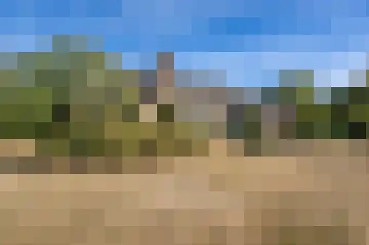 Dorpsweg 53 Ouddorp thumbnail 38