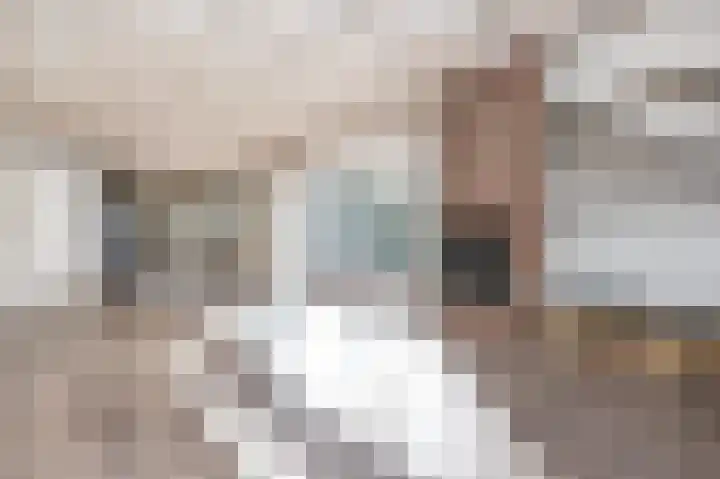 Dorpsweg 53 Ouddorp thumbnail 4