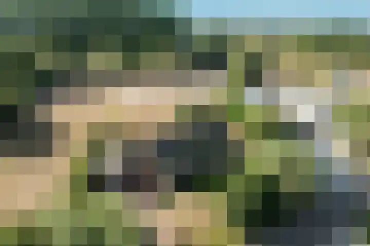 Dorpsweg 53 Ouddorp thumbnail 41