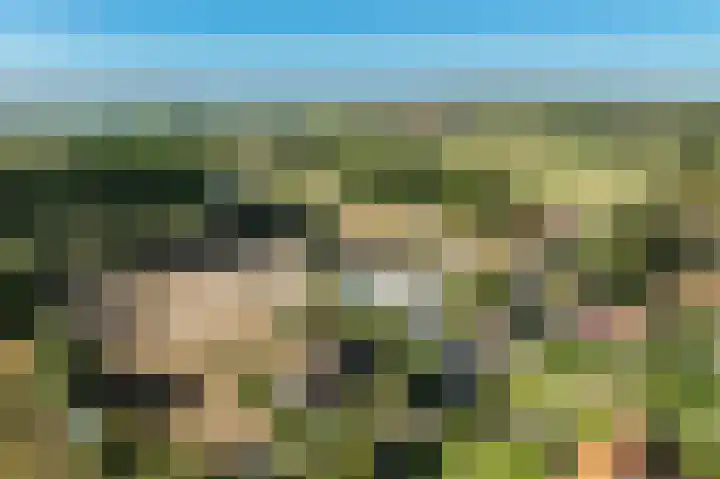 Dorpsweg 53 Ouddorp thumbnail 42