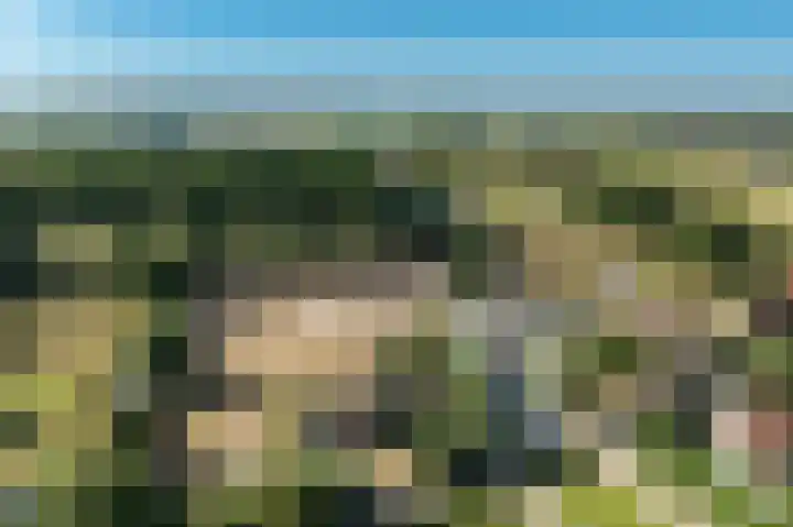 Dorpsweg 53 Ouddorp thumbnail 43