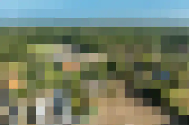 Dorpsweg 53 Ouddorp thumbnail 44