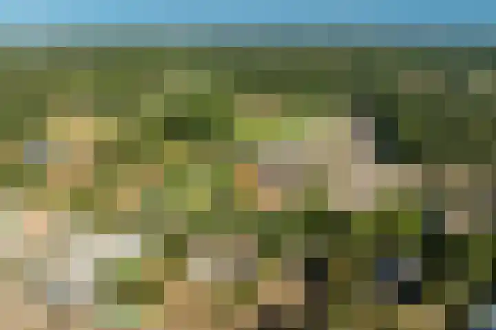 Dorpsweg 53 Ouddorp thumbnail 45