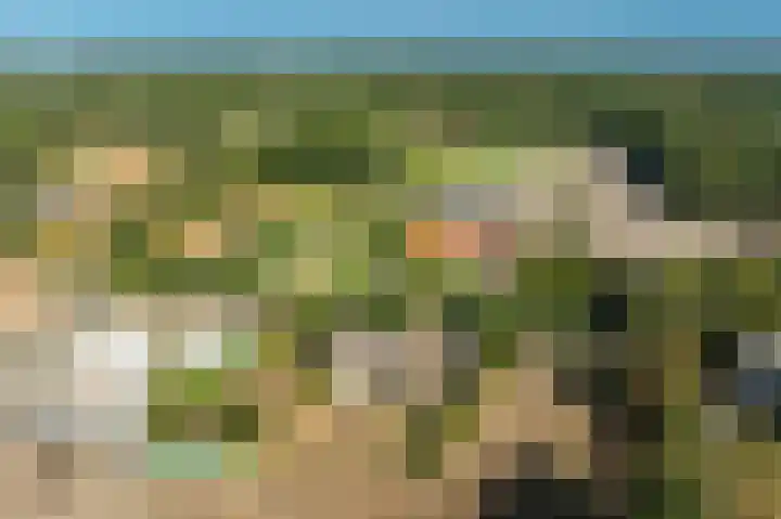 Dorpsweg 53 Ouddorp thumbnail 46