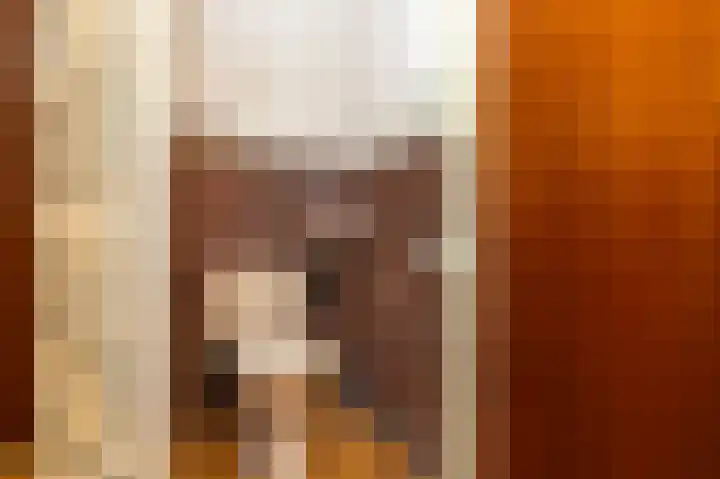 Dorpsweg 53 Ouddorp thumbnail 9