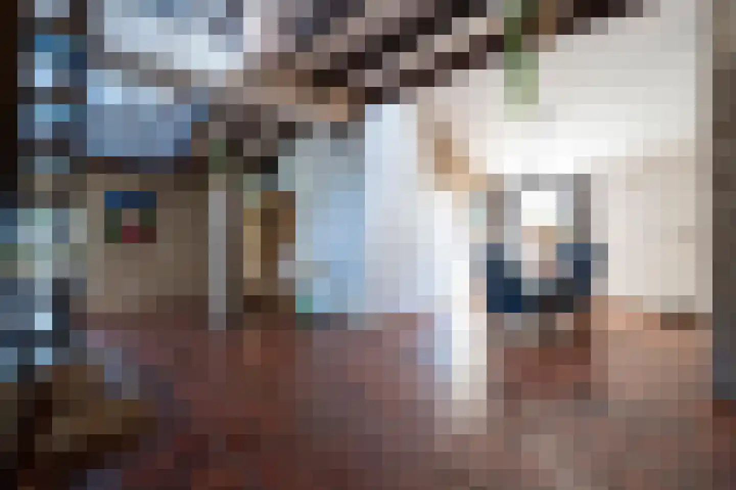 Dorpsweg 55 Hoornaar thumbnail 11