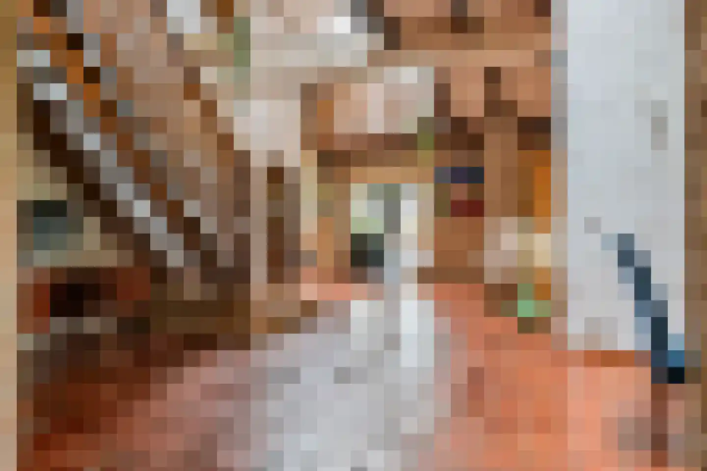 Dorpsweg 55 Hoornaar thumbnail 13