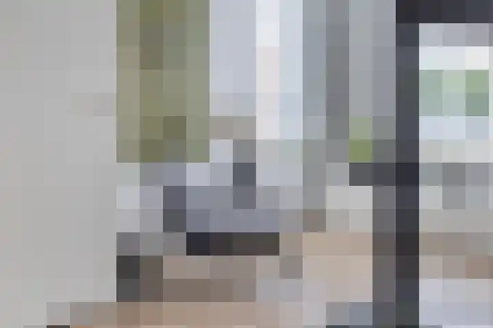 Dorpsweg 55 Hoornaar thumbnail 15