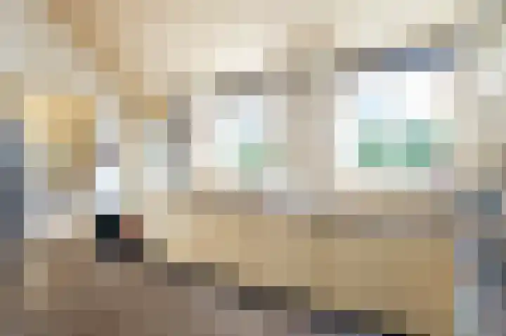 Dorpsweg 55 Hoornaar thumbnail 18