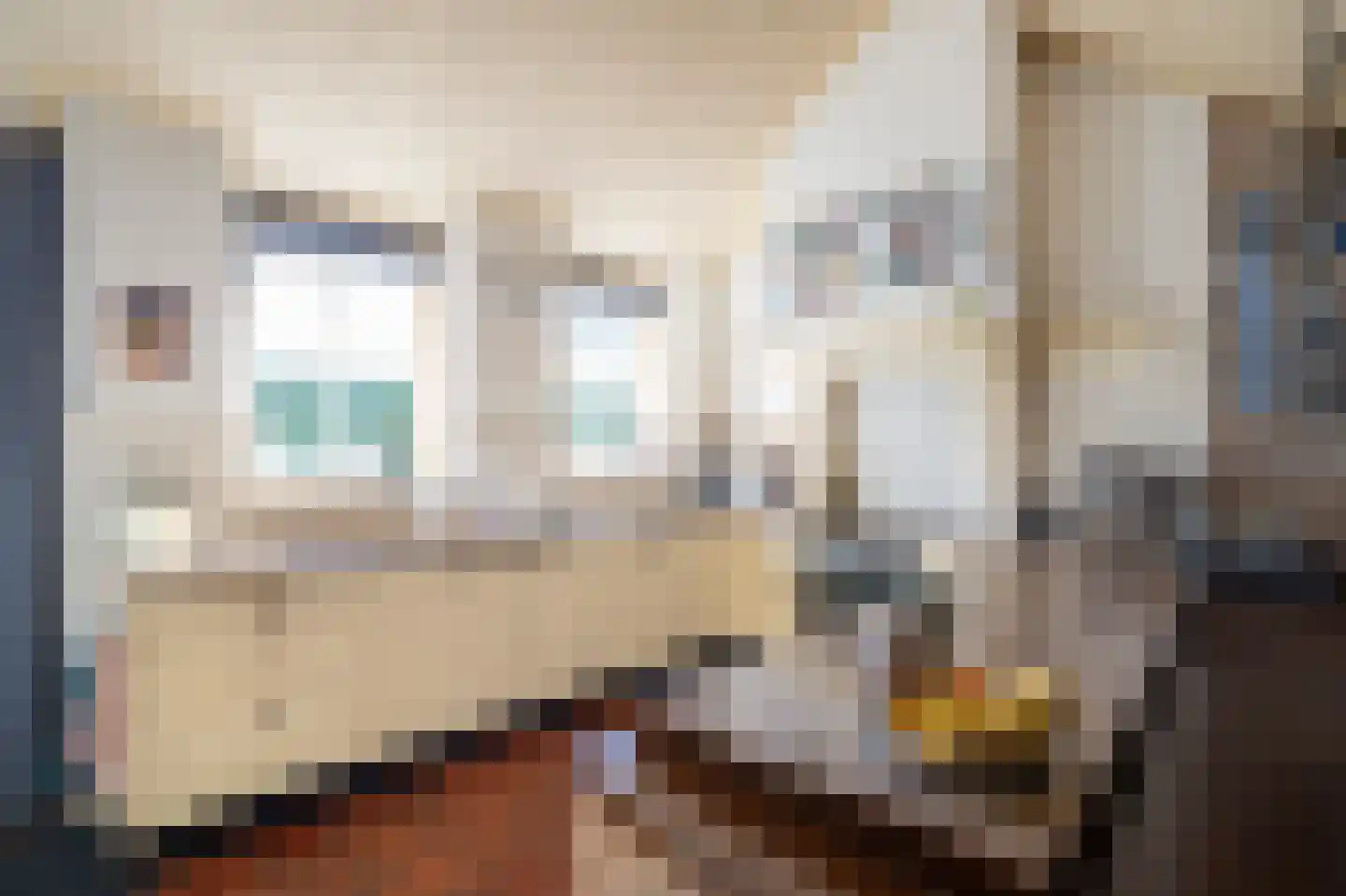 Dorpsweg 55 Hoornaar thumbnail 19