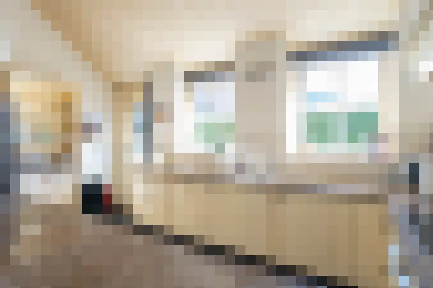 Dorpsweg 55 Hoornaar thumbnail 20