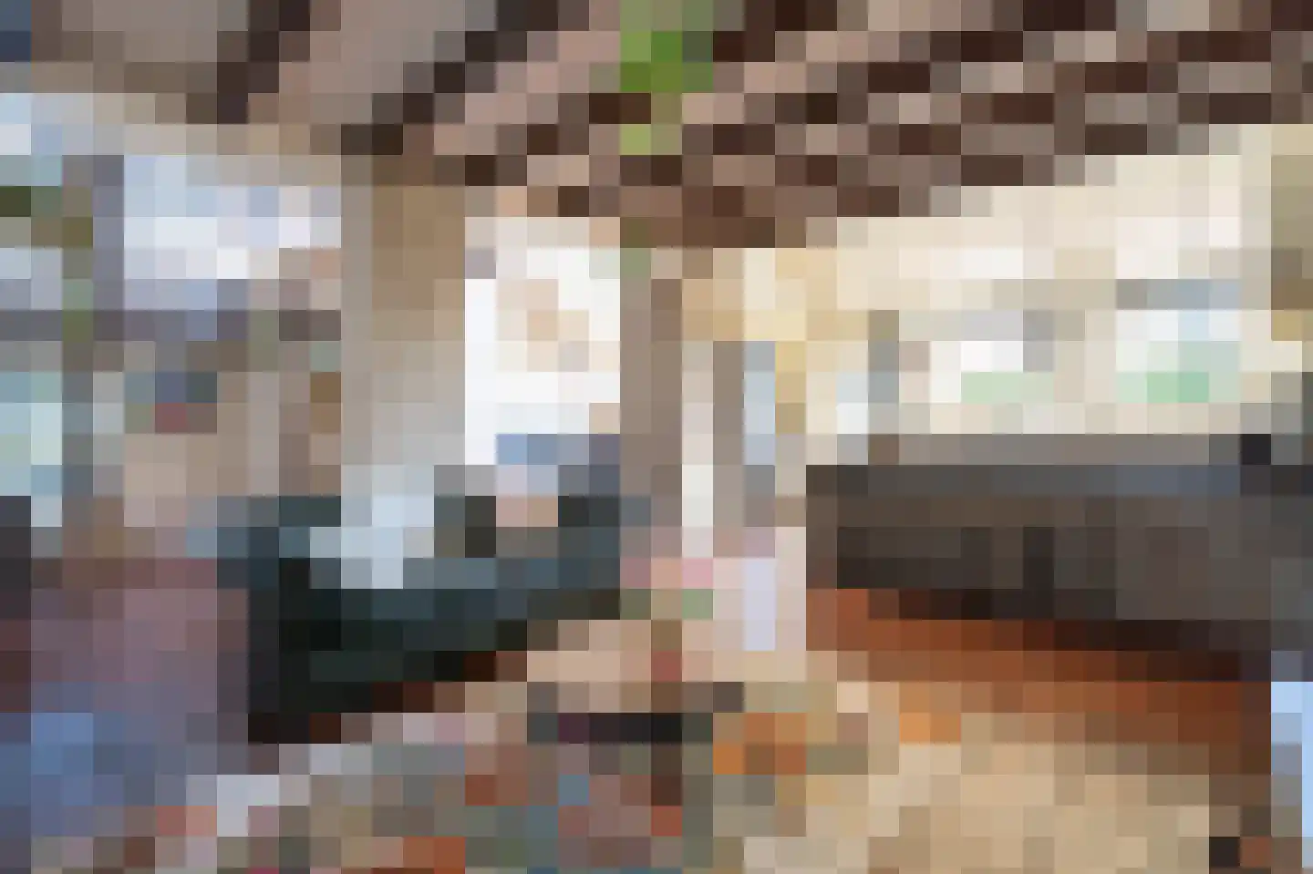 Dorpsweg 55 Hoornaar thumbnail 21
