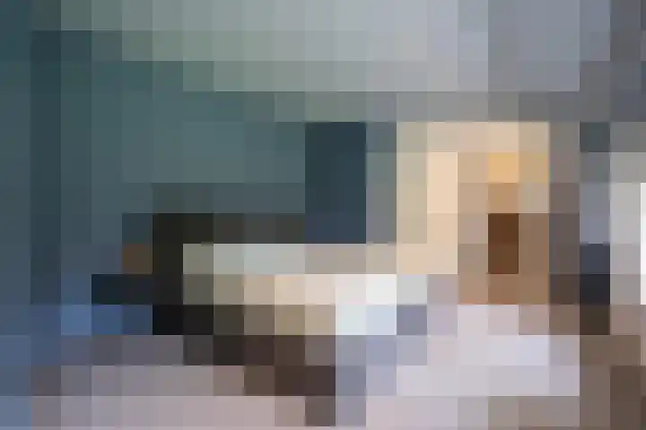 Dorpsweg 55 Hoornaar thumbnail 24