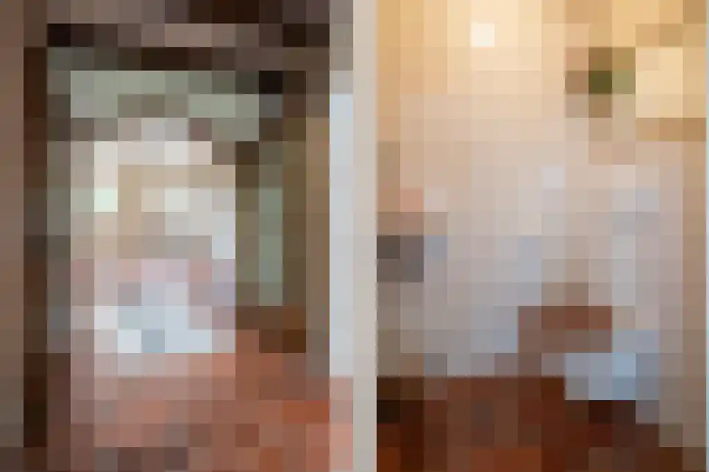 Dorpsweg 55 Hoornaar thumbnail 24
