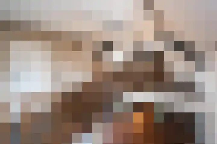 Dorpsweg 55 Hoornaar thumbnail 28