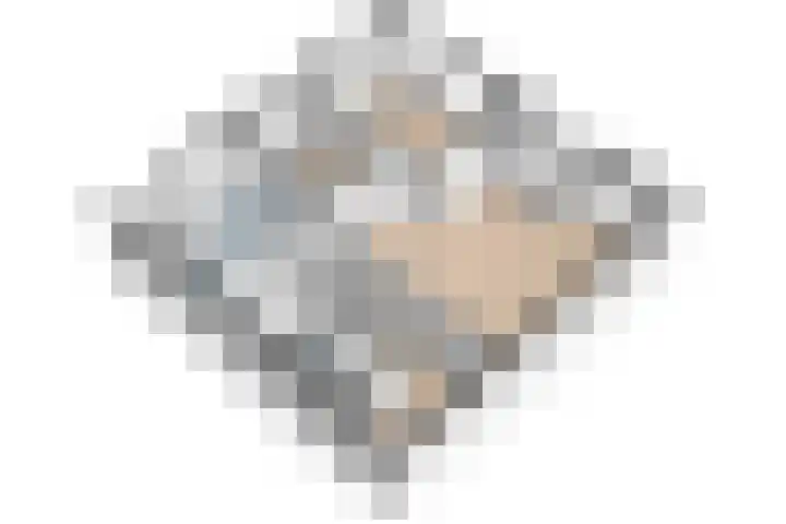 Dorpsweg 55 Hoornaar thumbnail 29