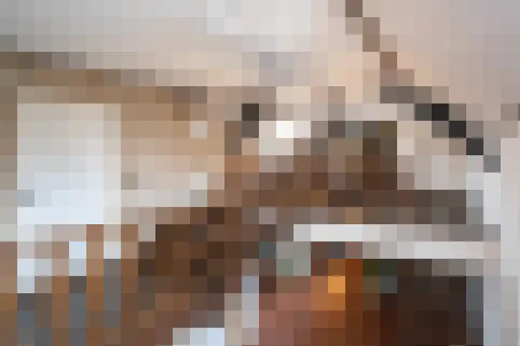 Dorpsweg 55 Hoornaar thumbnail 31