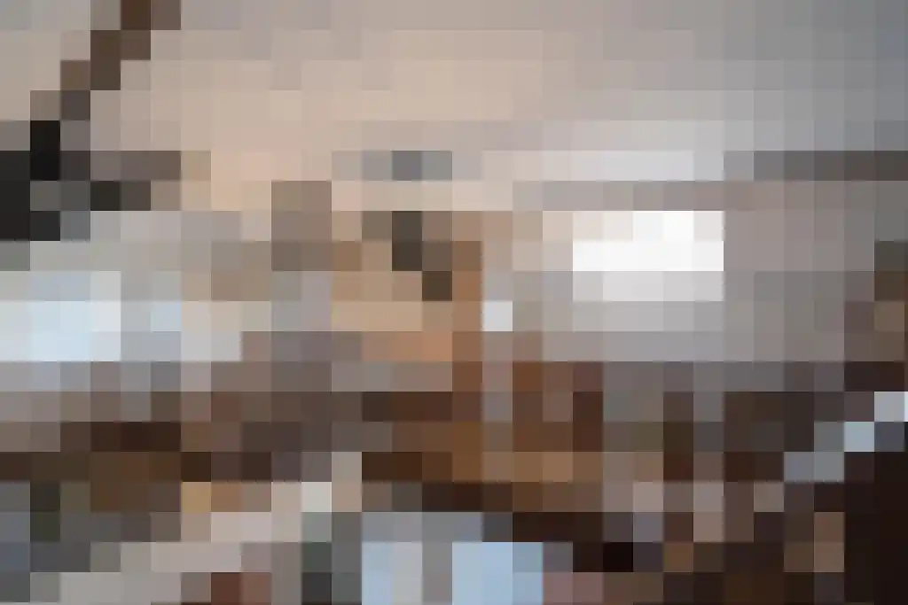 Dorpsweg 55 Hoornaar thumbnail 33