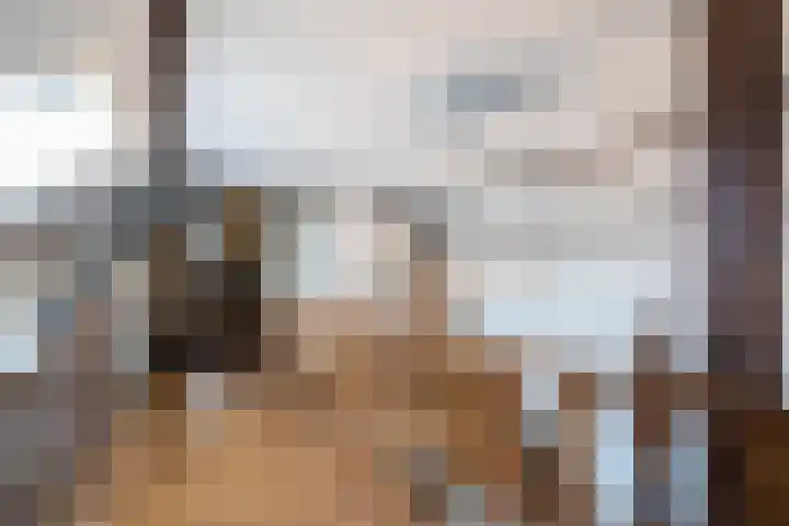 Dorpsweg 55 Hoornaar thumbnail 37